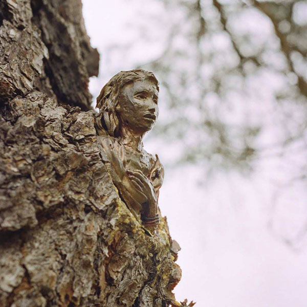 Faeries in the trees, Children's sculpture trail, Carrick Hill