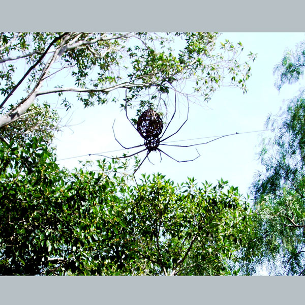 Giant Spider, Children's sculpture trail, Carrick Hill